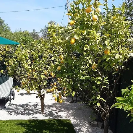 Aprahouseloule Bed & Breakfast Loule