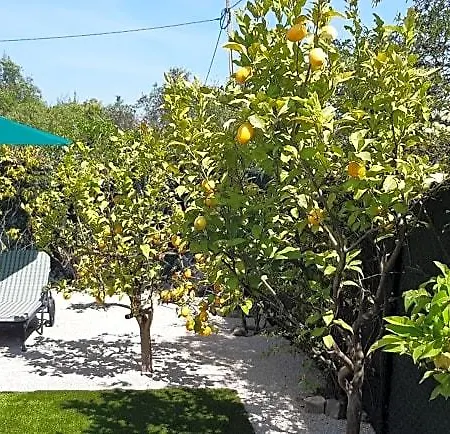Aprahouseloule Bed and Breakfast Λουλέ