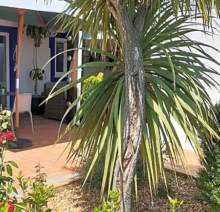 Bed and Breakfast Aprahouseloule
